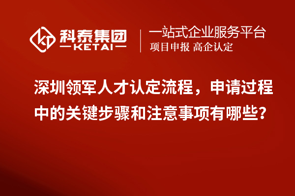 深圳領(lǐng)軍人才認(rèn)定流程，申請(qǐng)過(guò)程中的關(guān)鍵步驟和注意事項(xiàng)有哪些？