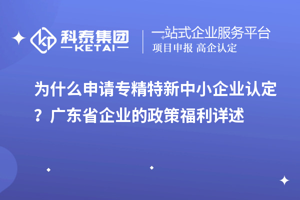 為什么申請(qǐng)專精特新中小企業(yè)認(rèn)定？廣東省企業(yè)的政策福利詳述