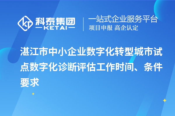 湛江市中小企業(yè)數(shù)字化轉型城市試點數(shù)字化診斷評估工作時間、條件要求