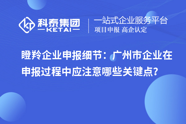 瞪羚企業(yè)申報(bào)細(xì)節(jié)：廣州市企業(yè)在申報(bào)過程中應(yīng)注意哪些關(guān)鍵點(diǎn)？