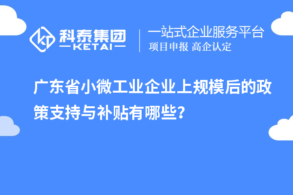 廣東省小微工業(yè)企業(yè)上規(guī)模后的政策支持與補(bǔ)貼有哪些？