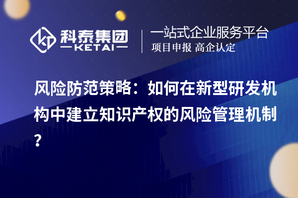 風(fēng)險(xiǎn)防范策略：如何在新型研發(fā)機(jī)構(gòu)中建立知識產(chǎn)權(quán)的風(fēng)險(xiǎn)管理機(jī)制？