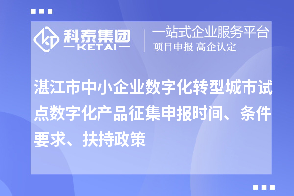 湛江市中小企業(yè)數(shù)字化轉(zhuǎn)型城市試點(diǎn)數(shù)字化產(chǎn)品征集申報時間、條件要求、扶持政策
