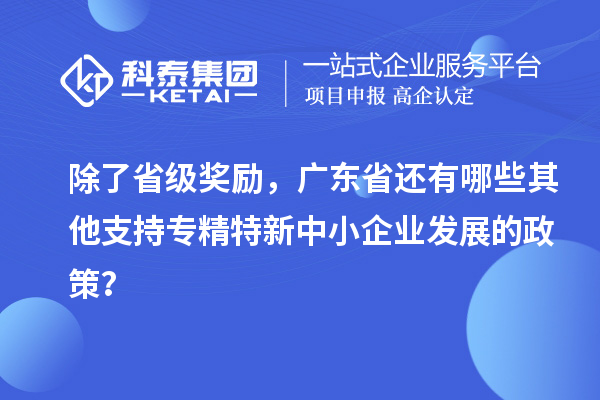 除了省級(jí)獎(jiǎng)勵(lì)，廣東省還有哪些其他支持專精特新中小企業(yè)發(fā)展的政策？