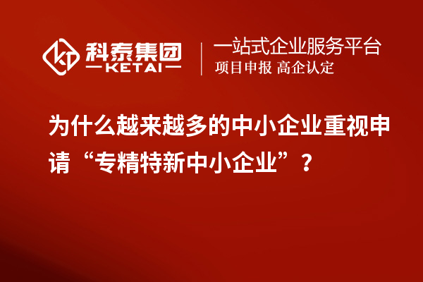 為什么越來越多的中小企業(yè)重視申請“專精特新中小企業(yè)”？