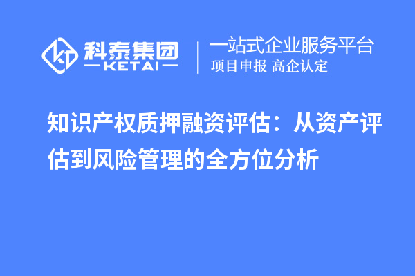 知識產(chǎn)權(quán)質(zhì)押融資評估：從資產(chǎn)評估到風險管理的全方位分析