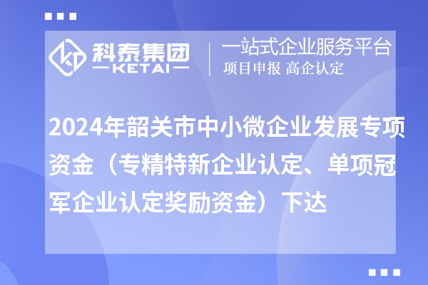 2024年韶關(guān)市中小微企業(yè)發(fā)展專項資金（專精特新企業(yè)認定、單項冠軍企業(yè)認定獎勵資金）下達