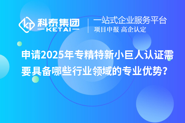 申請(qǐng)2025年專精特新小巨人認(rèn)證需要具備哪些行業(yè)領(lǐng)域的專業(yè)優(yōu)勢(shì)？