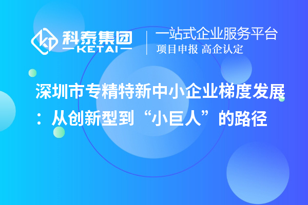 <a href=http:///shenzhen/ target=_blank class=infotextkey>深圳市專精特新</a>中小企業(yè)梯度發(fā)展：從創(chuàng)新型到“小巨人”的路徑