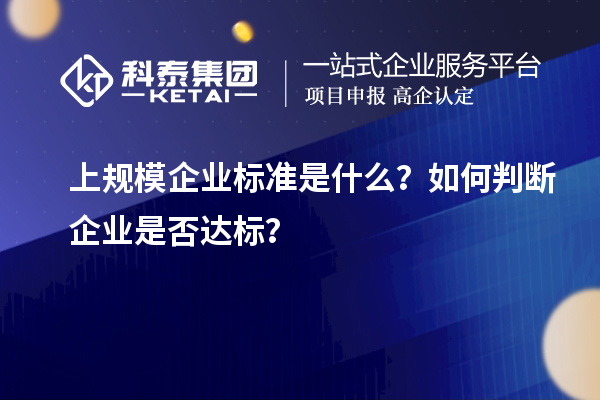 上規(guī)模企業(yè)標(biāo)準(zhǔn)是什么？如何判斷企業(yè)是否達(dá)標(biāo)？