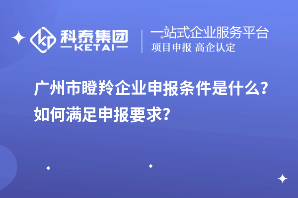 廣州市瞪羚企業(yè)申報(bào)條件是什么？如何滿足申報(bào)要求？