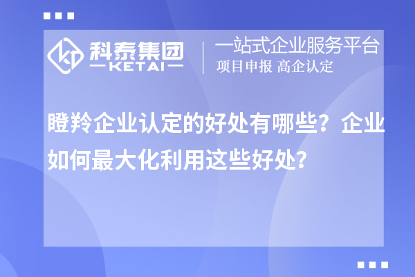 瞪羚企業(yè)認(rèn)定的好處有哪些？企業(yè)如何最大化利用這些好處？