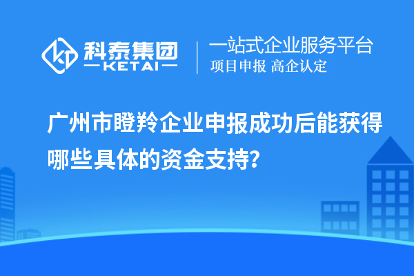廣州市瞪羚企業(yè)申報(bào)成功后能獲得哪些具體的資金支持？