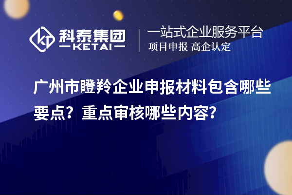廣州市瞪羚企業(yè)申報(bào)材料包含哪些要點(diǎn)？重點(diǎn)審核哪些內(nèi)容？