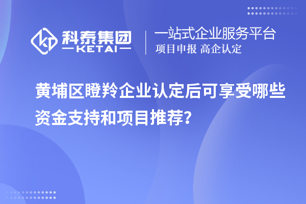 黃埔區(qū)瞪羚企業(yè)認(rèn)定后可享受哪些資金支持和項(xiàng)目推薦？