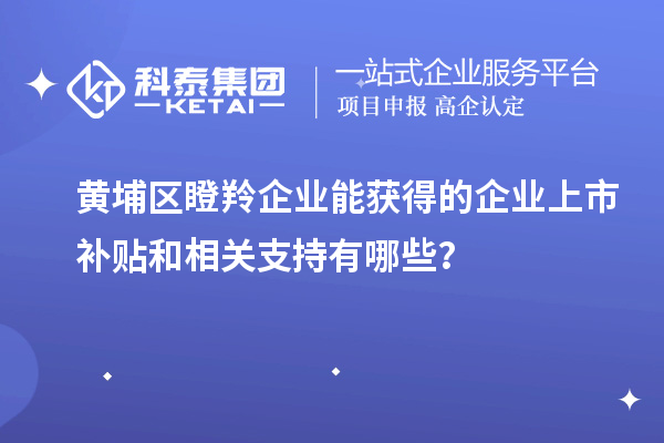 黃埔區(qū)瞪羚企業(yè)能獲得的企業(yè)上市補(bǔ)貼和相關(guān)支持有哪些？