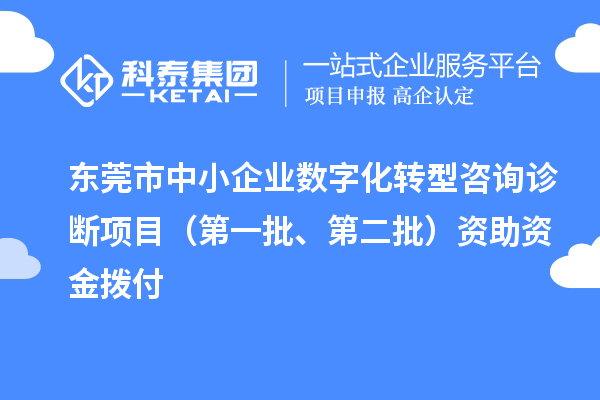 東莞市中小企業(yè)數(shù)字化轉(zhuǎn)型咨詢診斷項目（第一批、第二批）資助資金撥付