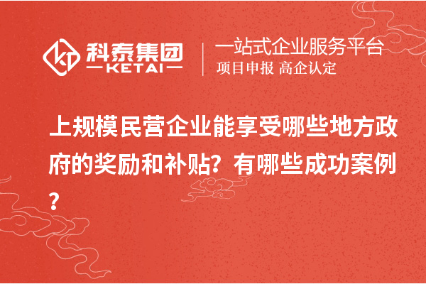 上規(guī)模民營企業(yè)能享受哪些地方政府的獎勵和補(bǔ)貼？有哪些成功案例？