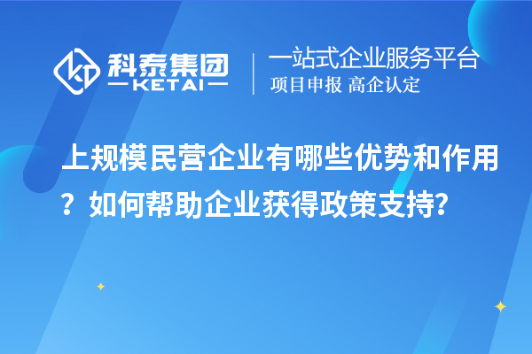 上規(guī)模民營企業(yè)有哪些優(yōu)勢(shì)和作用？如何幫助企業(yè)獲得政策支持？