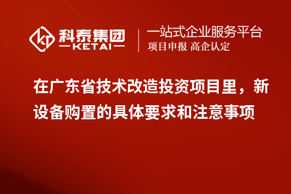 在廣東省技術改造投資項目里，新設備購置的具體要求和注意事項