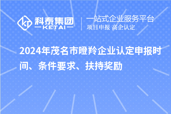 2024年茂名市瞪羚企業(yè)認(rèn)定申報時間、條件要求、扶持獎勵