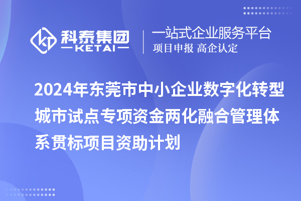 2024年?yáng)|莞市中小企業(yè)數(shù)字化轉(zhuǎn)型城市試點(diǎn)專項(xiàng)資金兩化融合管理體系貫標(biāo)項(xiàng)目資助計(jì)劃