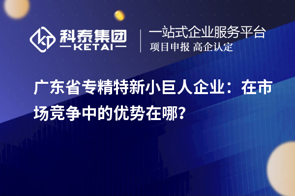 廣東省專(zhuān)精特新小巨人企業(yè)：在市場(chǎng)競(jìng)爭(zhēng)中的優(yōu)勢(shì)在哪？