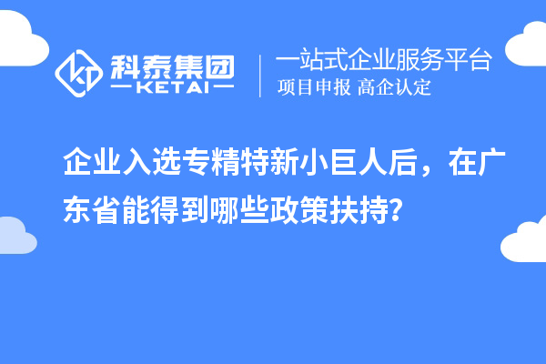 企業(yè)入選專精特新小巨人后，在廣東省能得到哪些政策扶持？