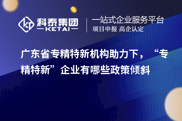 廣東省專精特新機(jī)構(gòu)助力下，“專精特新” 企業(yè)有哪些政策傾斜