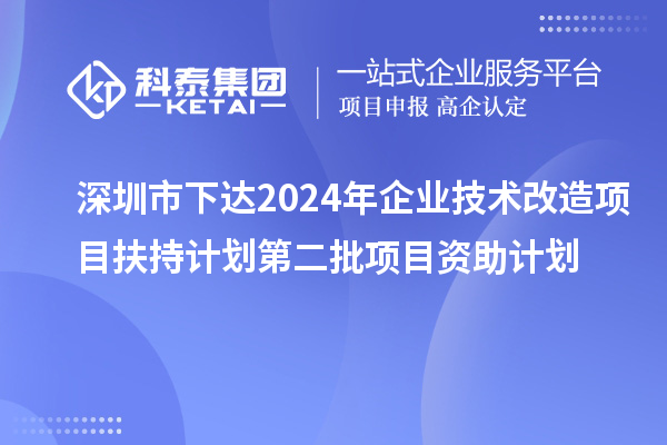 深圳市下達2024年企業(yè)技術(shù)改造項目扶持計劃第二批項目資助計劃