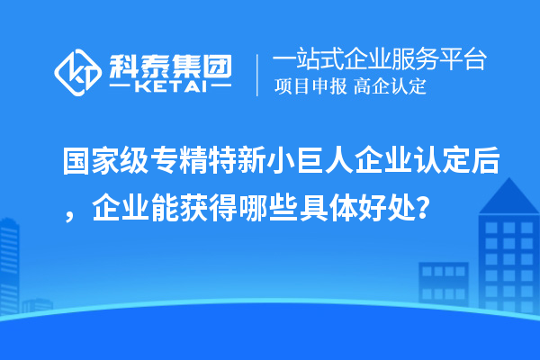 國(guó)家級(jí)專精特新小巨人企業(yè)認(rèn)定后，企業(yè)能獲得哪些具體好處？
