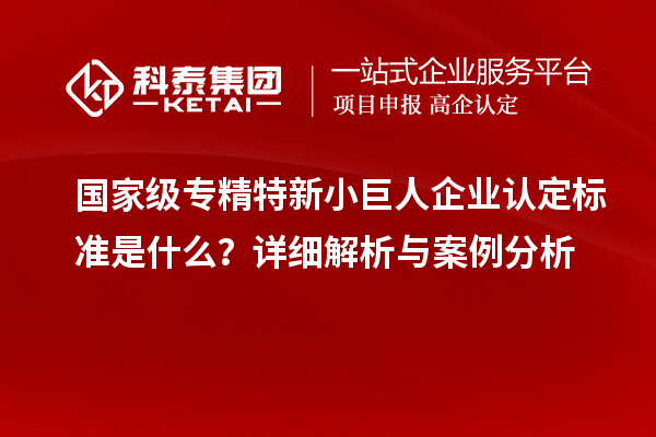 國(guó)家級(jí)專精特新小巨人企業(yè)認(rèn)定標(biāo)準(zhǔn)是什么？詳細(xì)解析與案例分析