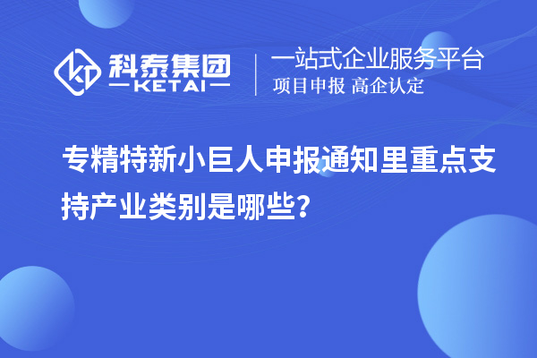 專精特新小巨人申報(bào)通知里重點(diǎn)支持產(chǎn)業(yè)類別是哪些？