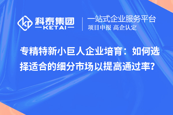 專精特新小巨人企業(yè)培育：如何選擇適合的細(xì)分市場(chǎng)以提高通過(guò)率？