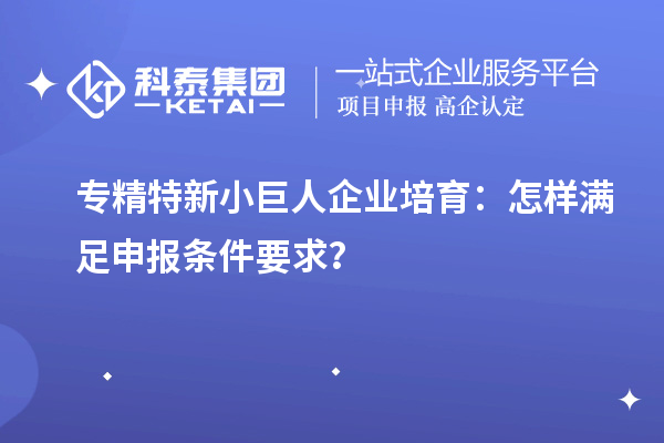 專精特新小巨人企業(yè)培育：怎樣滿足申報(bào)條件要求？