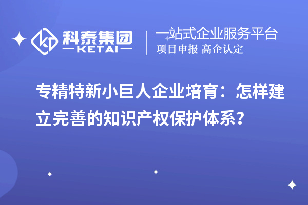 專精特新小巨人企業(yè)培育：怎樣建立完善的知識(shí)產(chǎn)權(quán)保護(hù)體系？