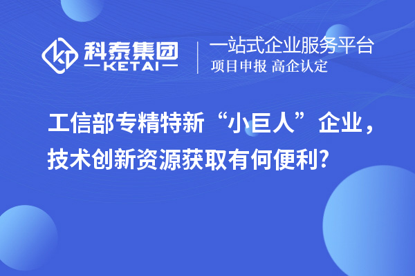 工信部專精特新 “小巨人” 企業(yè)，技術(shù)創(chuàng)新資源獲取有何便利?