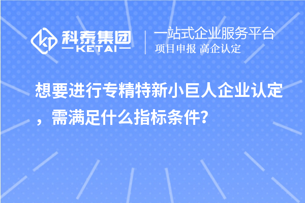 想要進(jìn)行專精特新小巨人企業(yè)認(rèn)定，需滿足什么指標(biāo)條件？