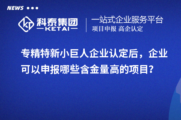 專精特新小巨人企業(yè)認(rèn)定后，企業(yè)可以申報哪些含金量高的項目？
