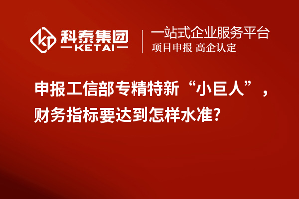 申報工信部專精特新 “小巨人”，財務(wù)指標(biāo)要達(dá)到怎樣水準(zhǔn)?