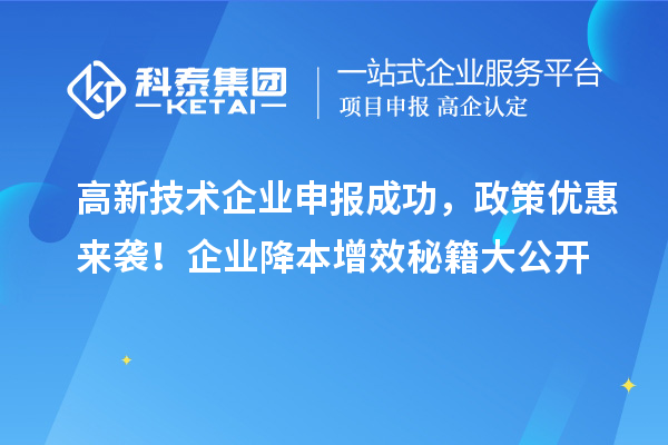 高新技術(shù)企業(yè)申報(bào)成功，政策優(yōu)惠來襲！企業(yè)降本增效秘籍大公開