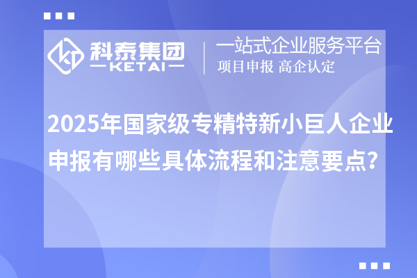 2025年國家級專精特新小巨人企業(yè)申報有哪些具體流程和注意要點(diǎn)？