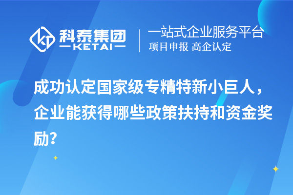 成功認定國家級專精特新小巨人，企業(yè)能獲得哪些政策扶持和資金獎勵？