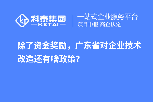 除了資金獎(jiǎng)勵(lì)，廣東省對(duì)企業(yè)技術(shù)改造還有啥政策？