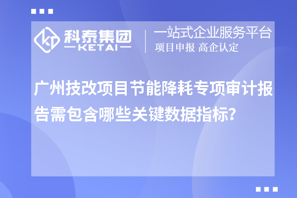 廣州技改項(xiàng)目節(jié)能降耗專項(xiàng)審計(jì)報(bào)告需包含哪些關(guān)鍵數(shù)據(jù)指標(biāo)？