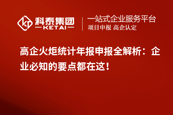 高企火炬統(tǒng)計(jì)年報(bào)申報(bào)全解析：企業(yè)必知的要點(diǎn)都在這！