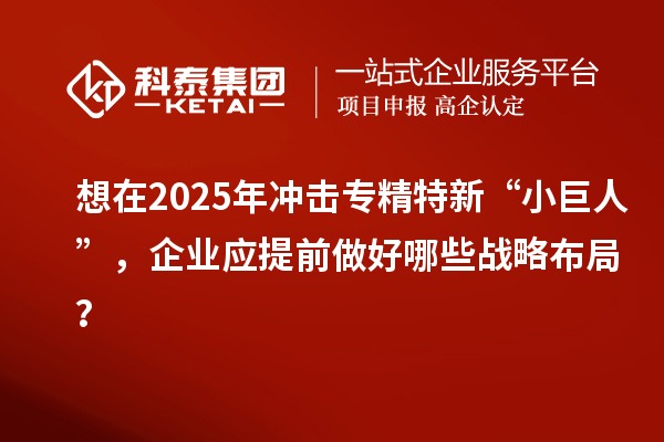 想在2025年沖擊專精特新 “小巨人”，企業(yè)應提前做好哪些戰(zhàn)略布局？