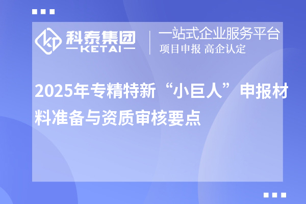 2025年專精特新“小巨人”申報材料準備與資質(zhì)審核要點