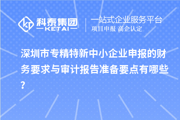 深圳市專精特新中小企業(yè)申報的財務要求與審計報告準備要點有哪些？
