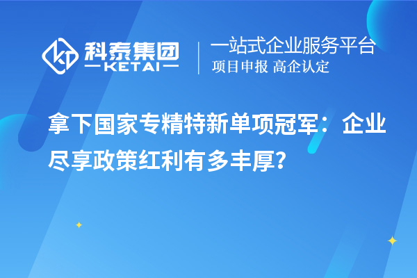 拿下國家專精特新單項冠軍：企業(yè)盡享政策紅利有多豐厚？